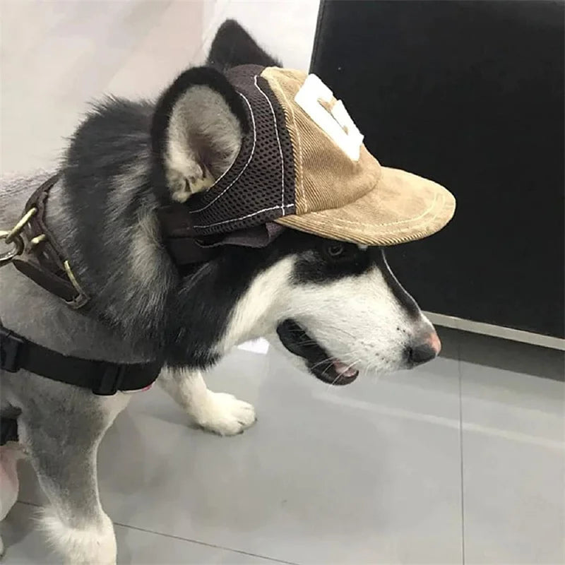 Outdoor Sports Hat with Ear Holes Adjustable for Small and Medium Dog Large Dogs