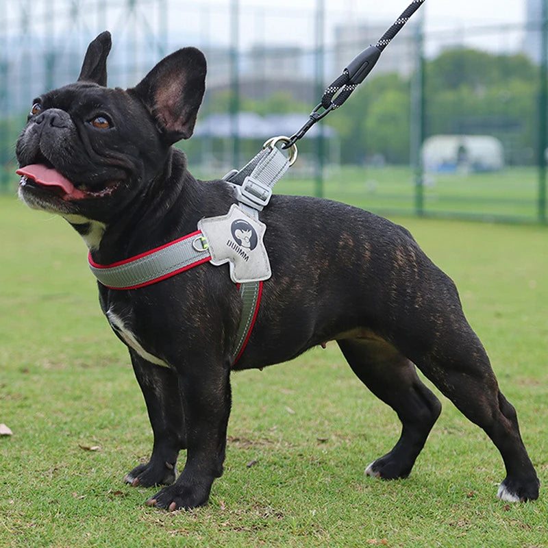 Y Harness for Small Medium Dogs Adjustable Seat Belts