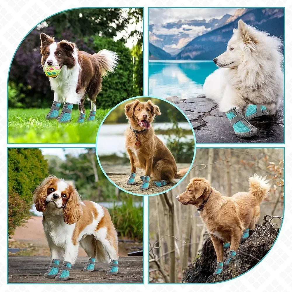 4pcs Dog Shoes Anti-slip
