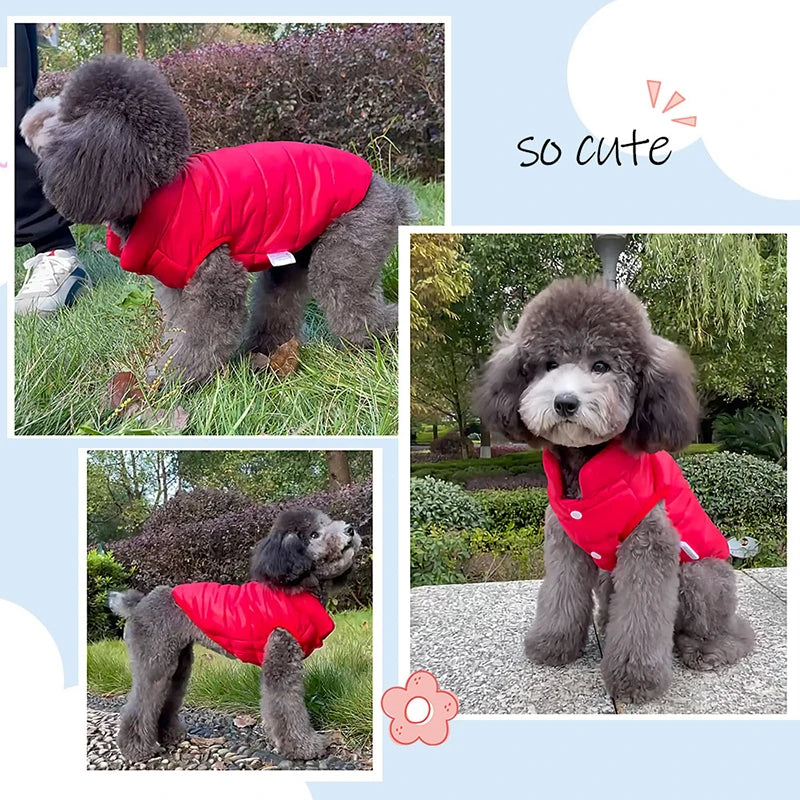 Double Sided Dog Coat Winter Warm Pet Dog Clothes For Small Medium Dogs