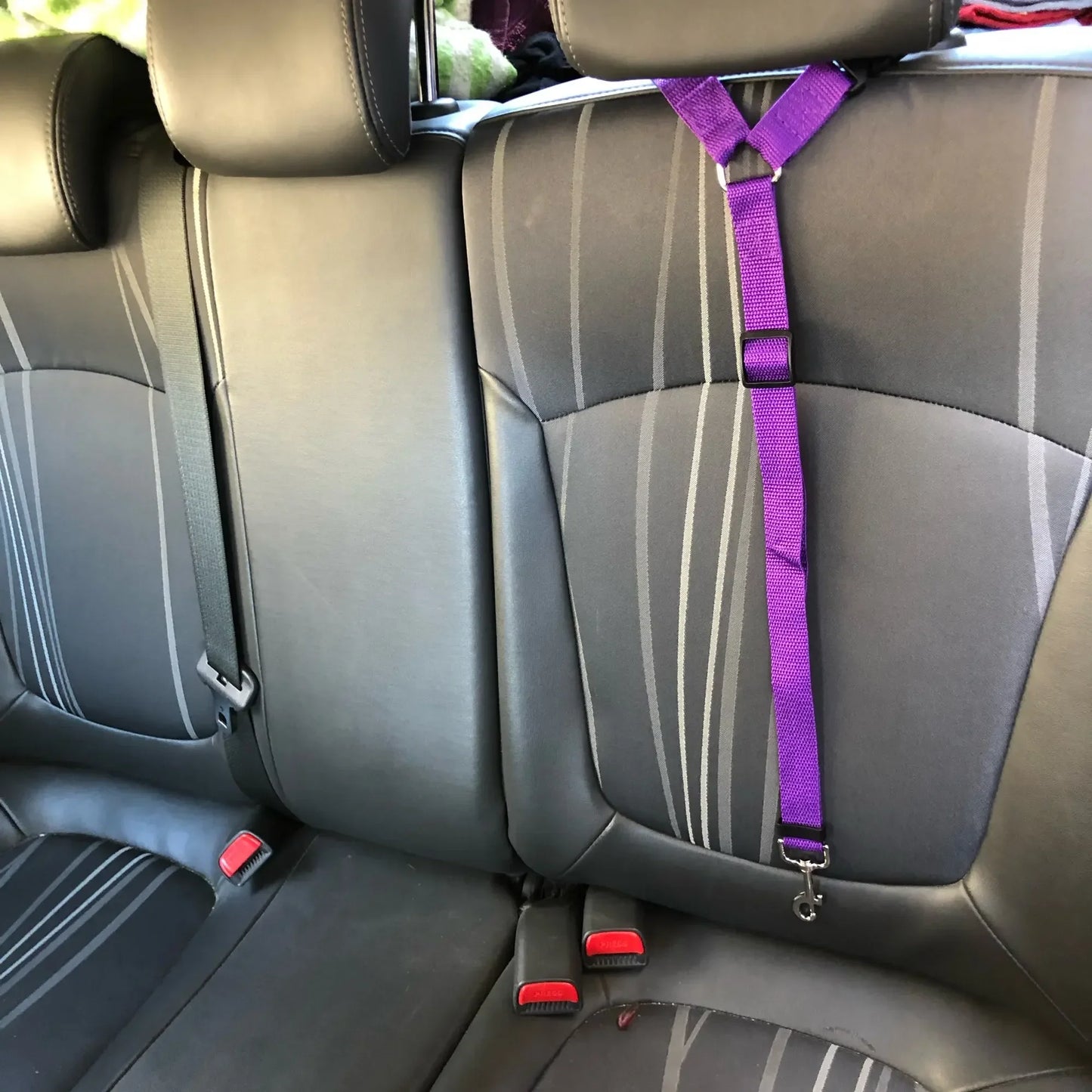 Backseat Safety Belt Adjustable Dogs Harness Collar Pet Accessories