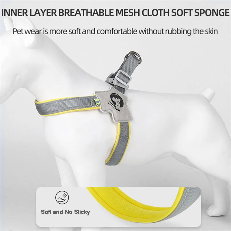 Y Harness for Small Medium Dogs Adjustable Seat Belts