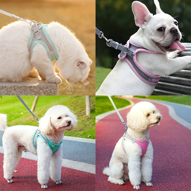 Cat Harness Leash Set Adjustable