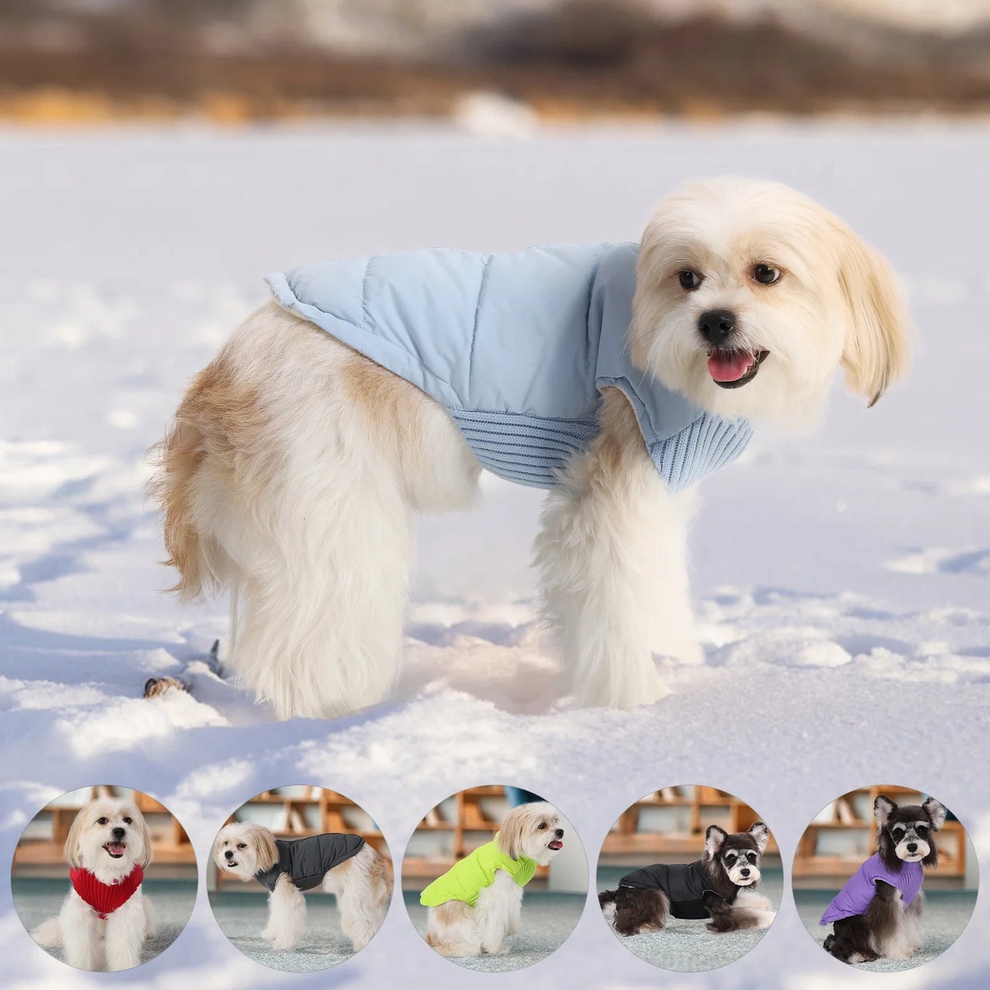 Winter Pet Jacket Windproof Warm Dogs Clothes
