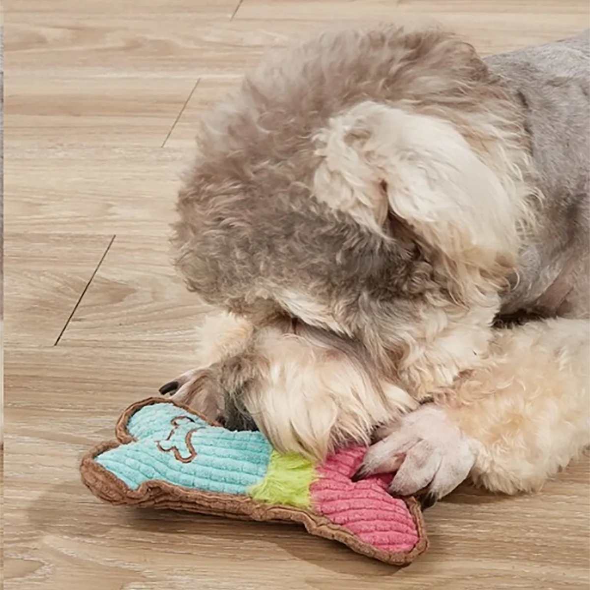 Squeaky Toys, Bones Plush Dogs Chew Toy for Small Medium Breed Puppy Aggressive Chewer Pets Puppy Playing Cleaning Teeth