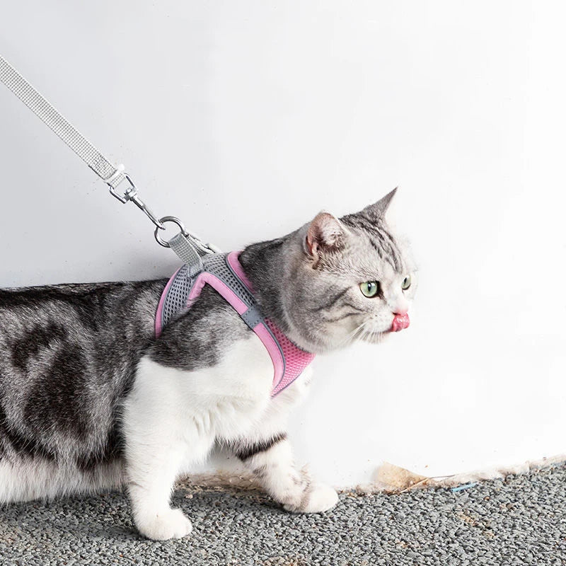 Cat Harness Leash Set Adjustable