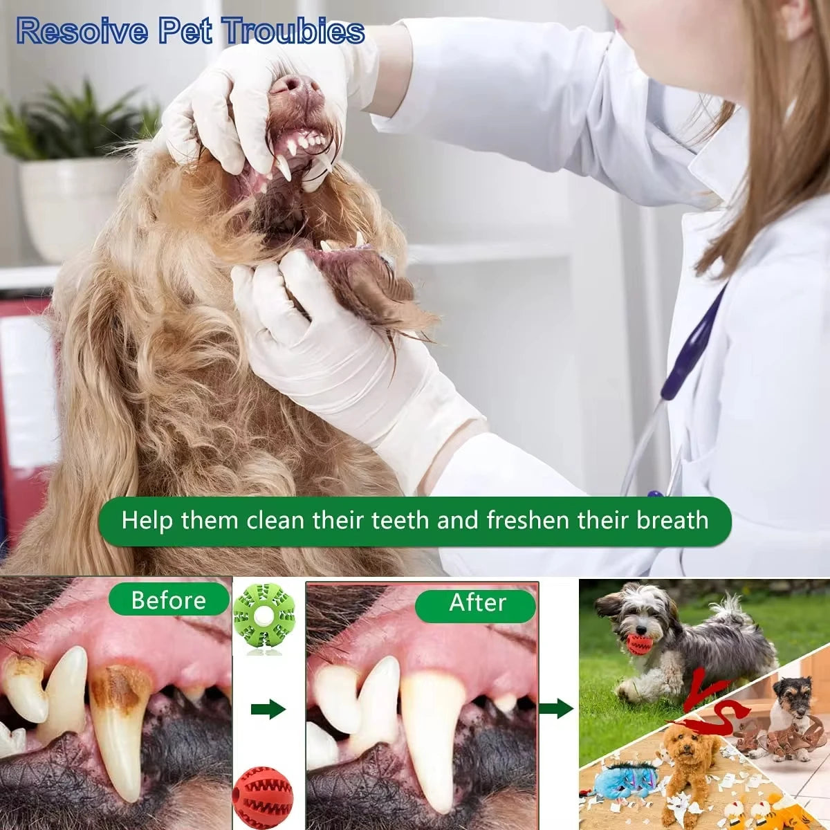 Natural Rubber Dog Toys Tooth Cleaning