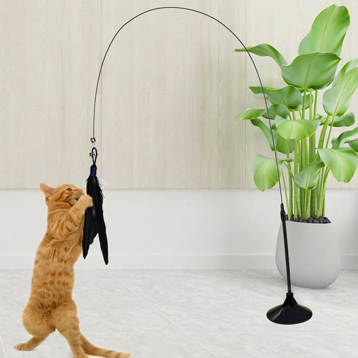 Cat Teaser Indoor Cat Stick , Fun Exercise For Cats And Kittens