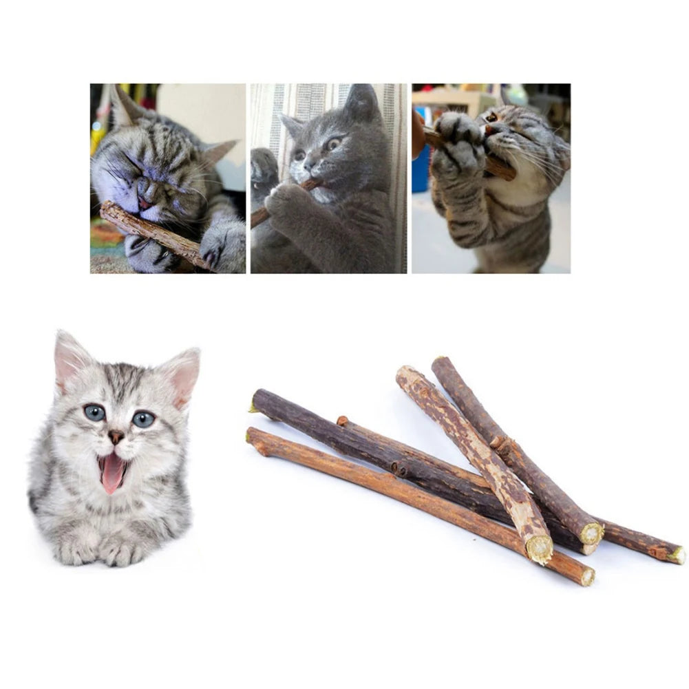Silvervine Sticks for Cats Natural Catnip Chew Sticks Teeth Molar Chewing Toys