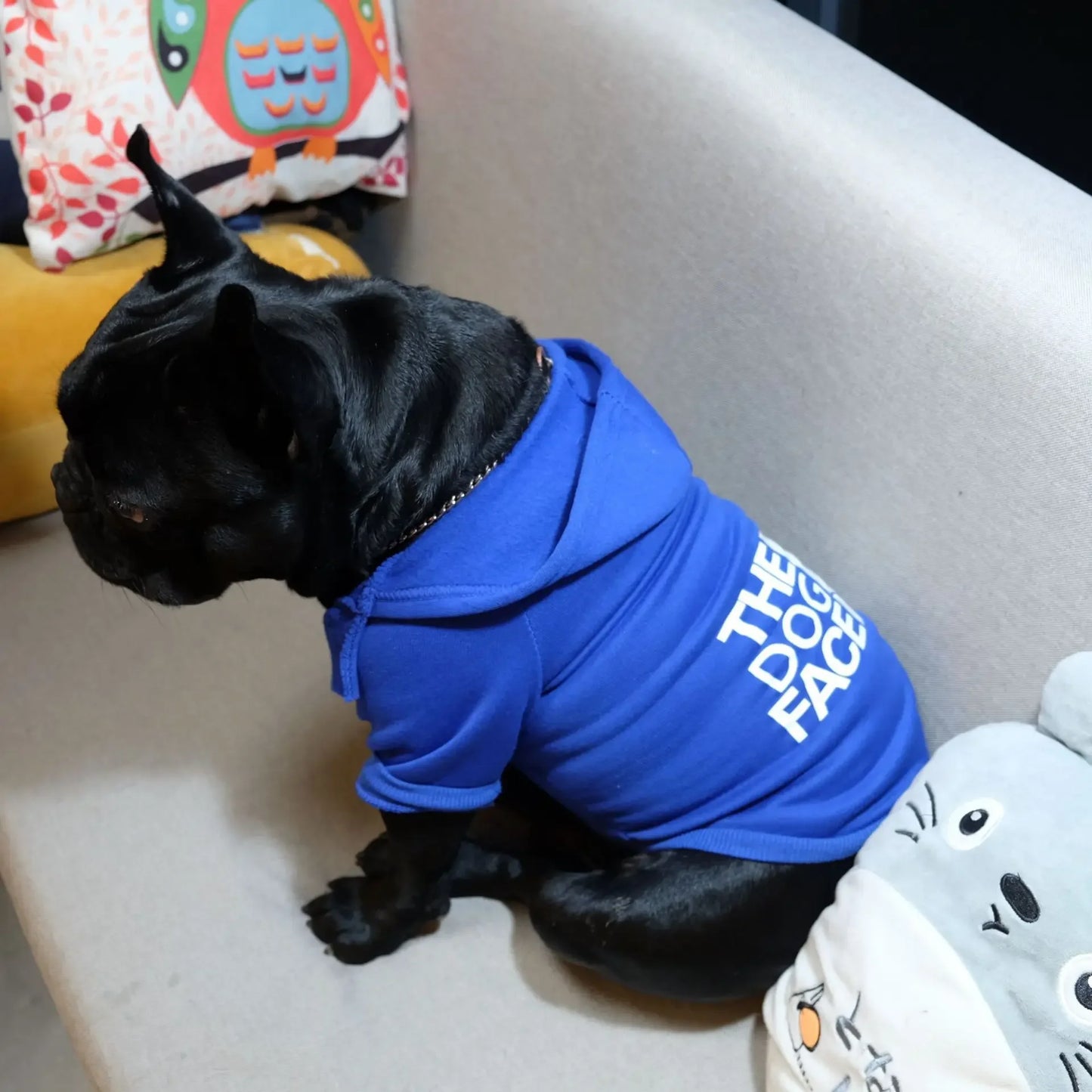 Pet Dog Hoodies Autumn and Winter Season Large Dog Clothes