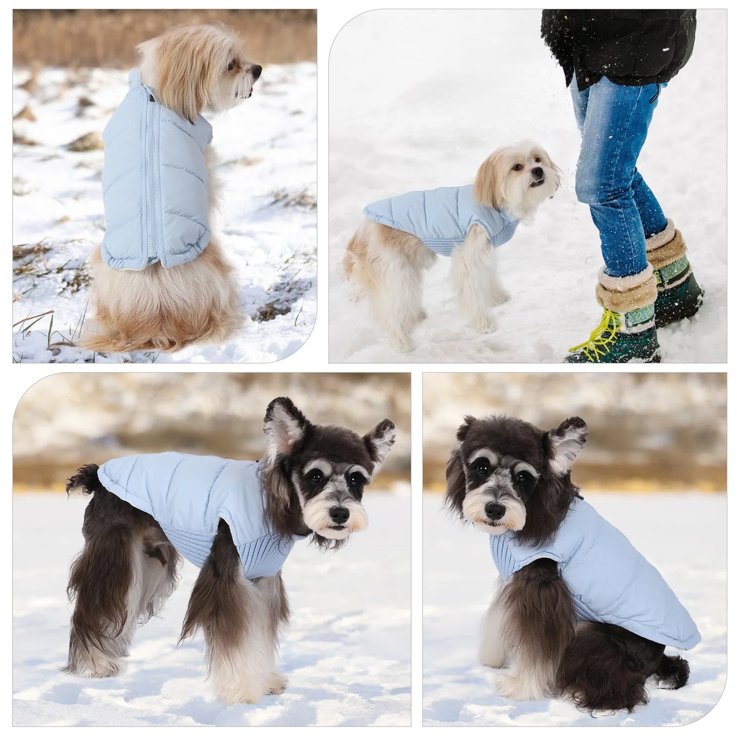Winter Pet Jacket Windproof Warm Dogs Clothes