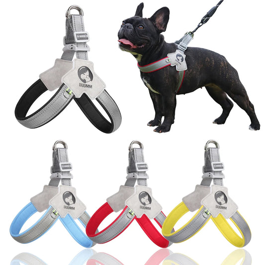 Y Harness for Small Medium Dogs Adjustable Seat Belts