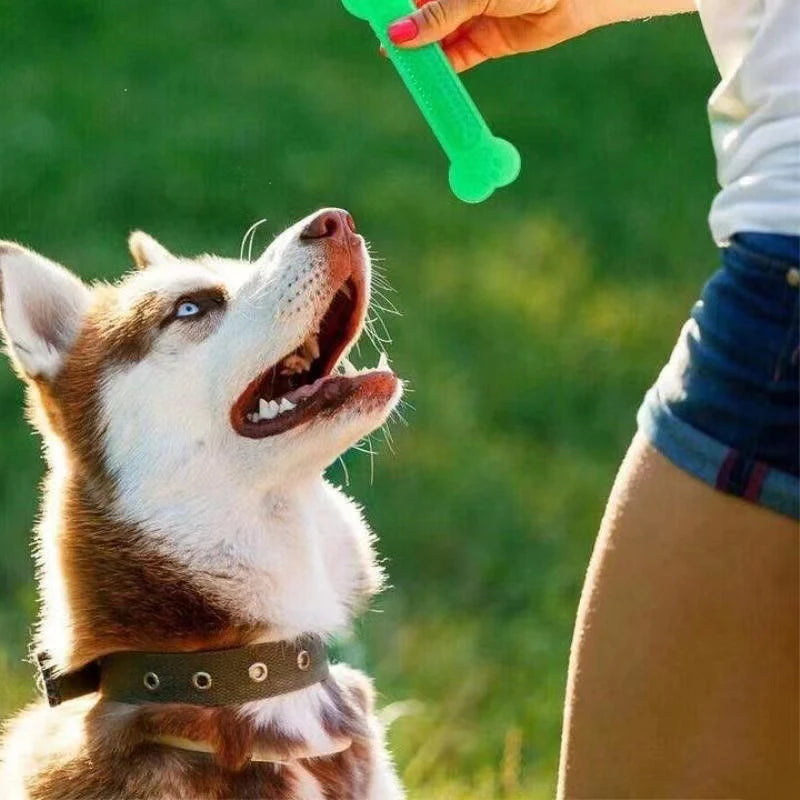 Chewers Dog Toothbrush Doggy Puppy Dental Care For Dog Pet Accessories
