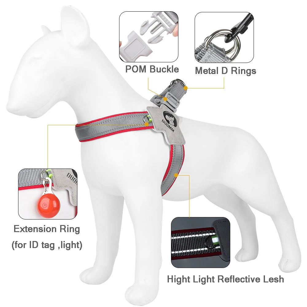 Y Harness for Small Medium Dogs Adjustable Seat Belts