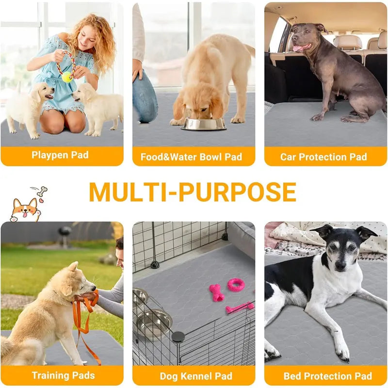 Washable Dog Urine Mat Training Waterproof Absorbent